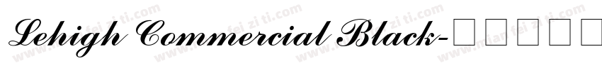 Lehigh Commercial Black字体转换